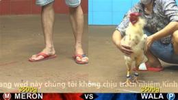 giao diện app đá gà c2 trận 11 15 19