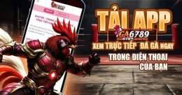 giao diện app đá gà c3 ga6789
