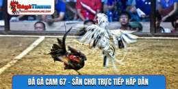 giao diện app da ga cam 67 .com