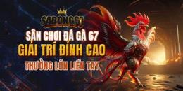 giao diện app đá gà cảm 67 trực tiếp