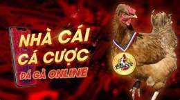 giao diện app đá gà campuchia c1 hôm nay