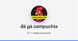 giao diện app đá gà campuchia dagacampuchia.com