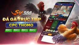 giao diện app đá gà casino 9999