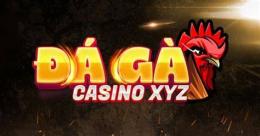 giao diện app đá gà casino hôm