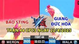 giao diện app đá gà cpc3 8 12 trận 44