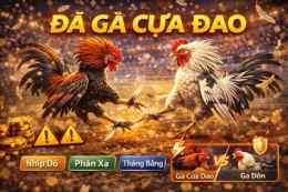 giao diện app đá gà cựa nhau