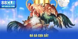 giao diện app da ga cua sat 2