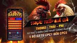 giao diện app đá gà đá gà trực tiếp 88