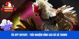 giao diện app đá gà đoán đỉnh cao