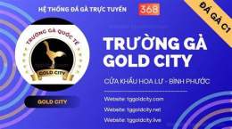 giao diện app đá gà đơn gold city