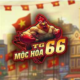 giao diện app đá gà đòn mộc hóa