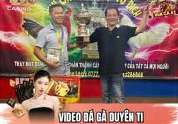 giao diện app đá gà duyên ti đá giải