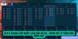 giao diện app đá gà giải trực tiếp c3