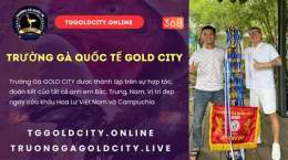 giao diện app đá gà gold city trực tiếp hôm nay
