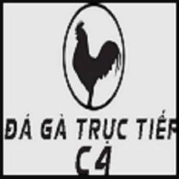 giao diện app đá gà mang c4