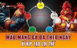 giao diện app da ga mau mang theo ngay