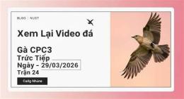 giao diện app đá gà ngày 29