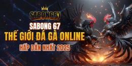 giao diện app đa ga sabong 67