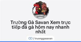 giao diện app đá gà savan hôm nay
