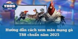 giao diện app đá gà t88
