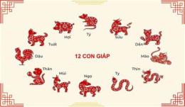 giao diện app đá gà theo 12 con giáp