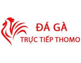 giao diện app da ga thomo 2 7 2024