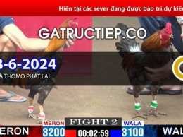 giao diện app da ga thomo 4/11/2022