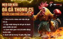 giao diện app da ga thomo c5 trận 21