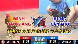 giao diện app đá gà thomo cpc3 trận 36