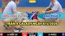giao diện app đá gà thomo hiển long xuyên