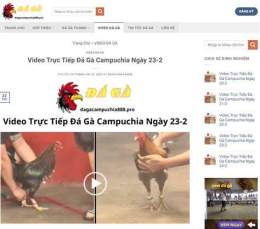 giao diện app da ga thomo ngay 23 3