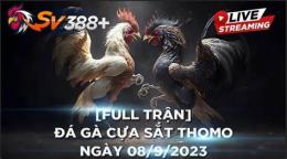 giao diện app đá gà thomo ngày 25 tháng 03