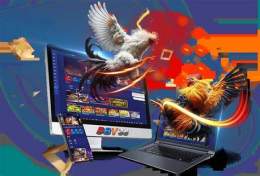 giao diện app đá gà thomo ngày 25