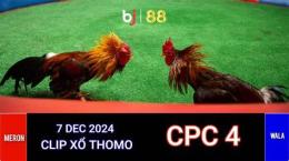 giao diện app đá gà thomo trực tiếp cpc4