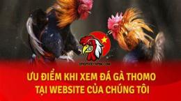 giao diện app đá gà thomo xanh mông trích