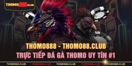 giao diện app đa ga thomo88
