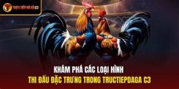 giao diện app đá gà trận 54 c3