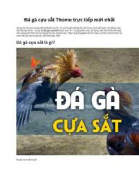 giao diện app dá gà tre cựa sắt