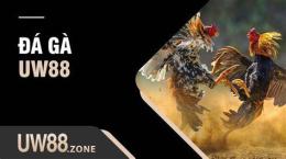 giao diện app da ga tre uw88