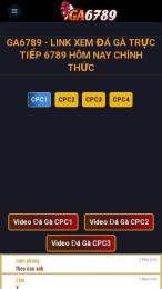 giao diện app đá gà trực tiếp 6789 hôm nay