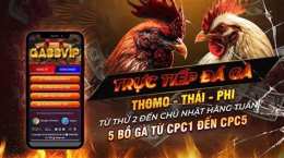giao diện app đá gà trực tiếp 88 duyên ti