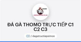 giao diện app đá gà trực tiếp c2 c2