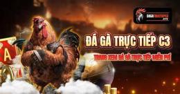 giao diện app đá gà trực tiếp c3 duyên ti hôm nay