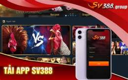 giao diện app đá gà trực tiếp cà