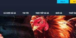 giao diện app đá gà trực tiếp casino mộc bài