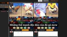 giao diện app đá gà trực tiếp cpc 1