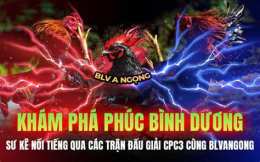 giao diện app đá gà trực tiếp cpc3 trận 54