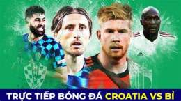 giao diện app đá gà trực tiếp croatia