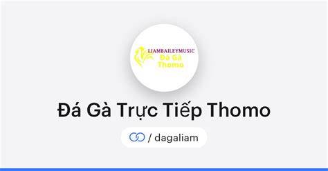 giao diện app đá gà trực tiếp cửa sắt thomo