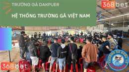 giao diện app đá gà trực tiếp đắk puer